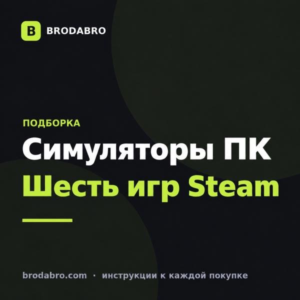 Лучшие симуляторы на ПК 2010-2016: 6 игр Steam