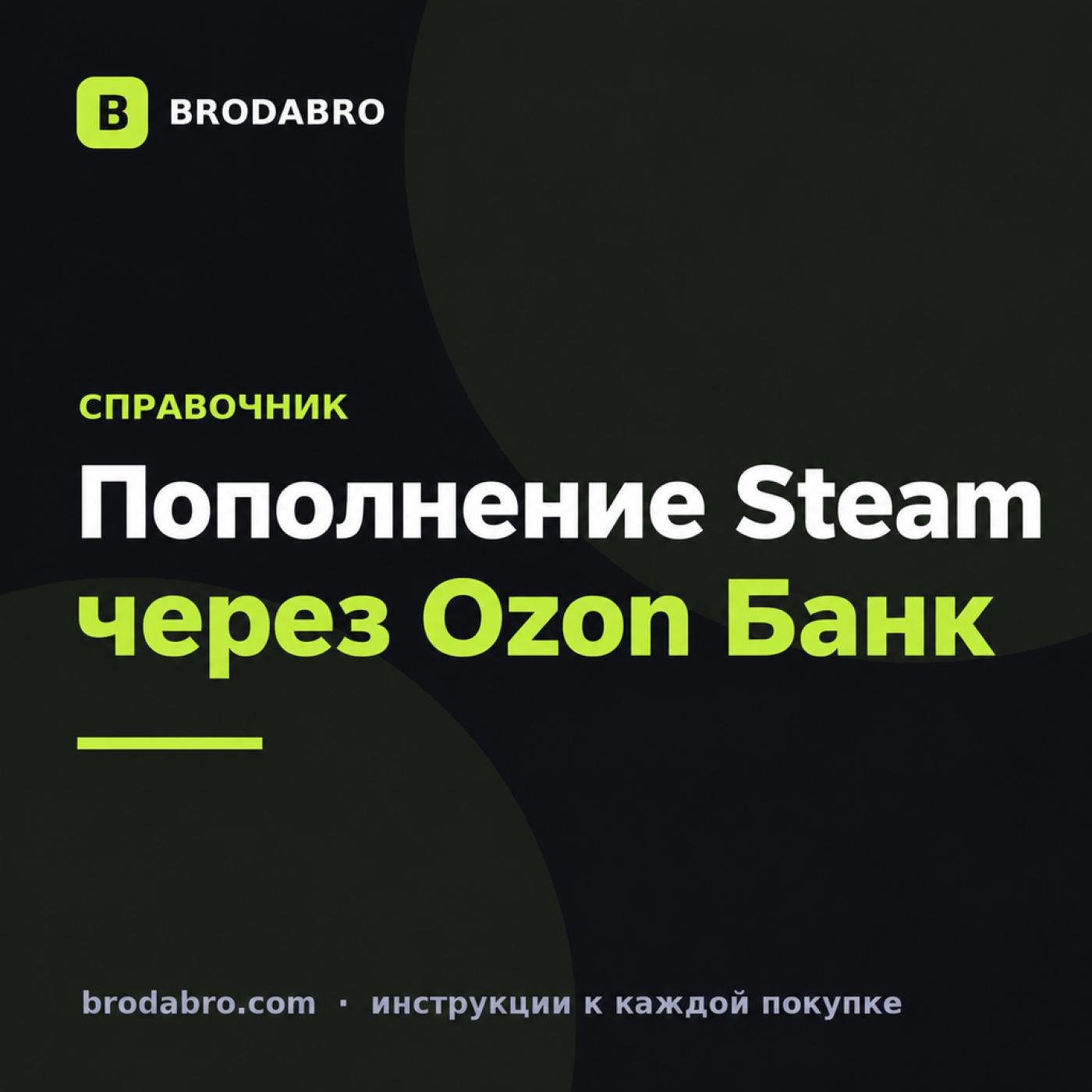 Озон Банк пополнить Стим: инструкция, комиссии и альтернативы