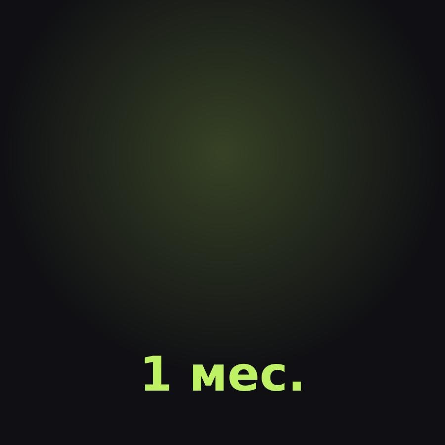 Discord Basic на 1 месяц