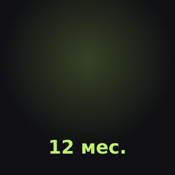 Discord Nitro на 12 месяцев