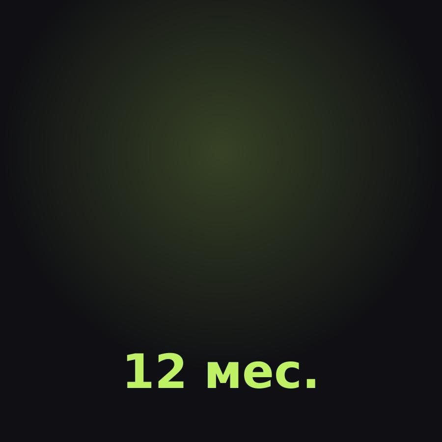 Discord Nitro на 12 месяцев