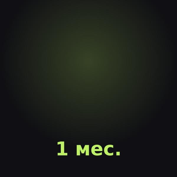 Discord Nitro на 1 месяц