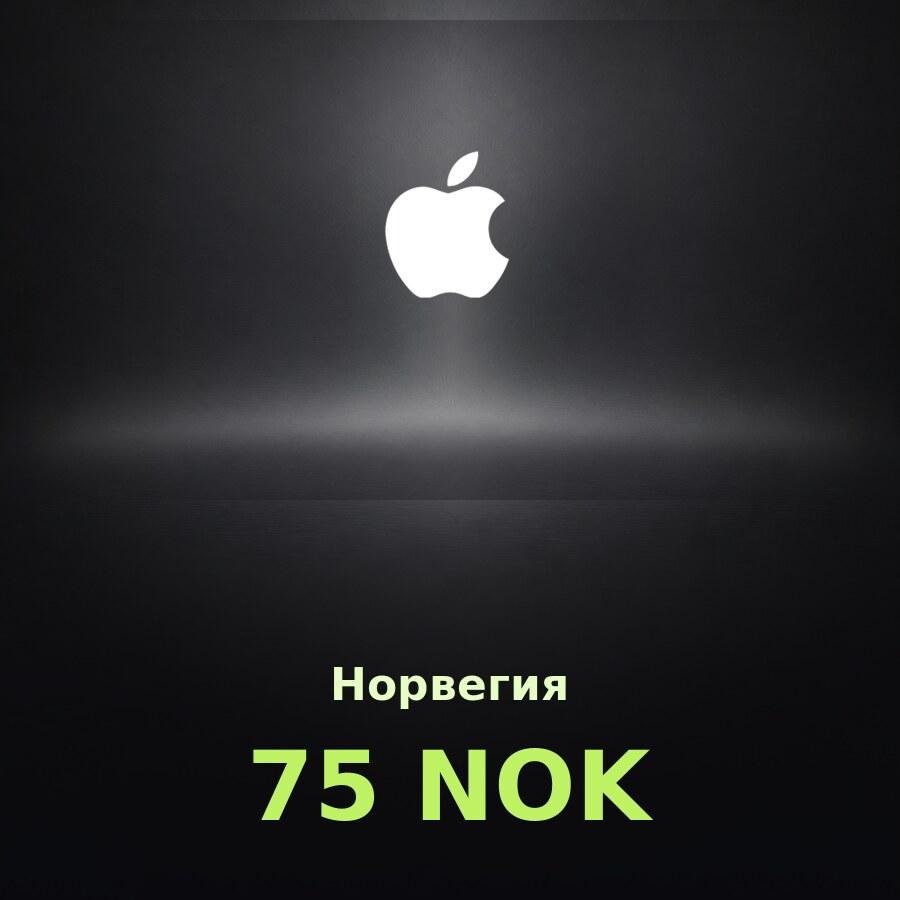 Купить подарочную карту Apple на 75 крон для Норвегии