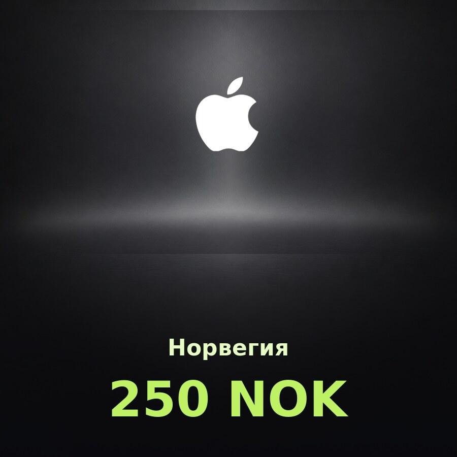 Купить подарочную карту Apple на 250 крон для Норвегии