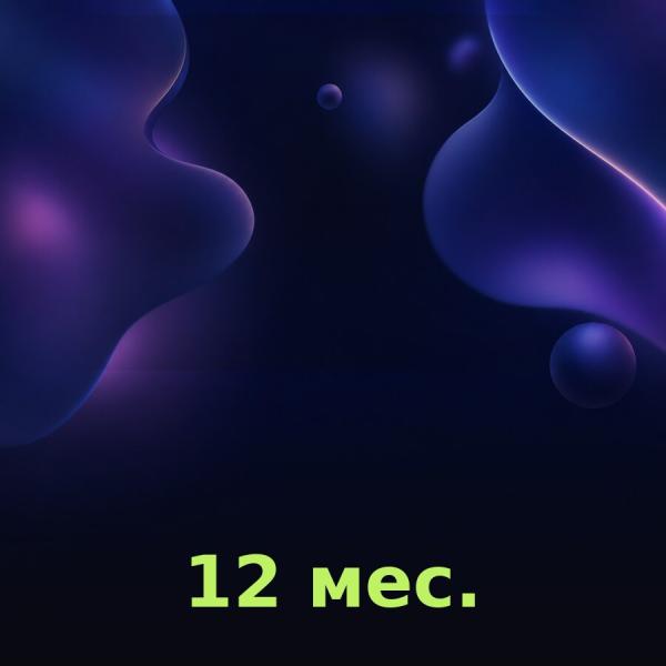 Discord Nitro на 12 месяцев