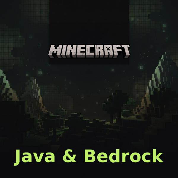 Лицензия Minecraft: Java & Bedrock Edition for PC