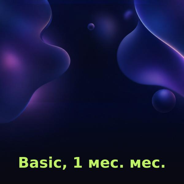 Discord Basic на 1 месяц