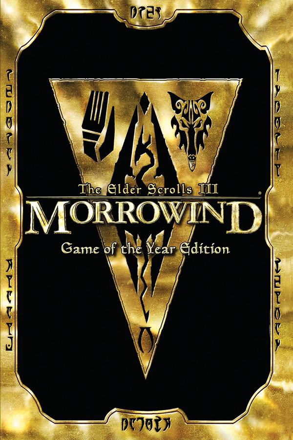 The Elder Scrolls III: Morrowind GOTY: ключ Standard Edition (СНГ)