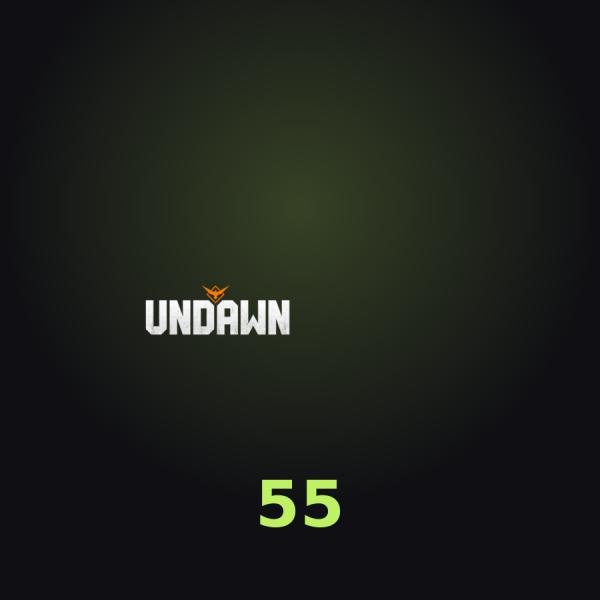 Undawn: код на 55 RC